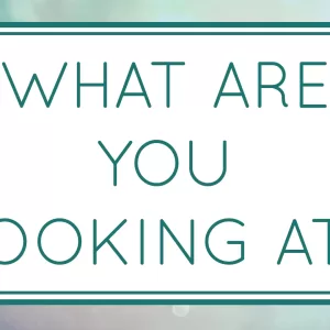 What Are You Looking At?